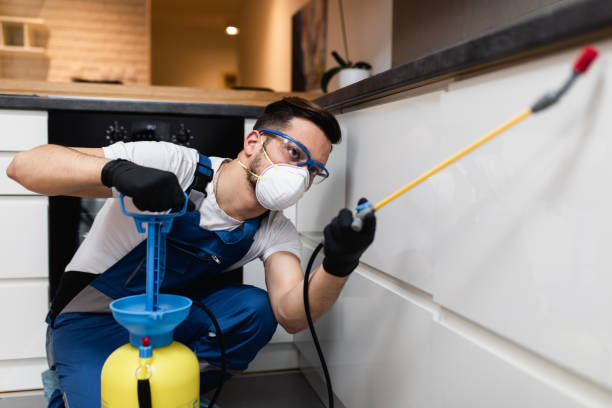 Wasp Removal Services in Brookhaven, MS