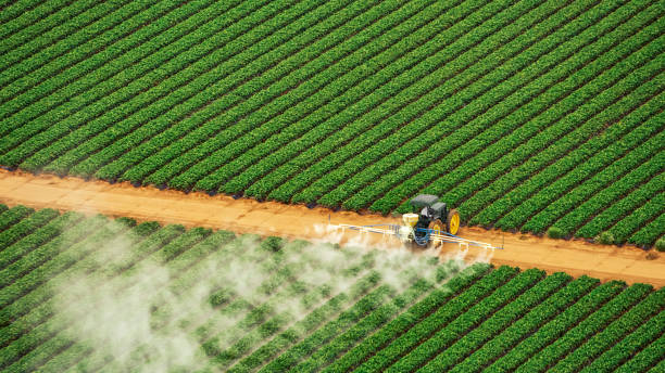 Pest Control Cost in Brookhaven, MS