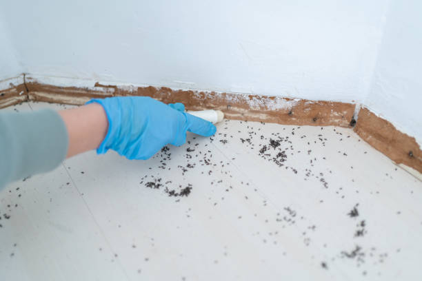 Best Wildlife Control Services  in Brookhaven, MS